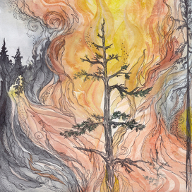 Пожар в Лесу