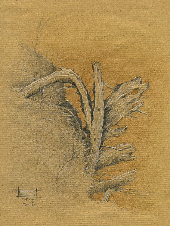 На берегу...