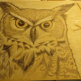 Ночной дозор