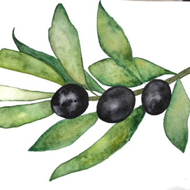 Оливковая ветвь