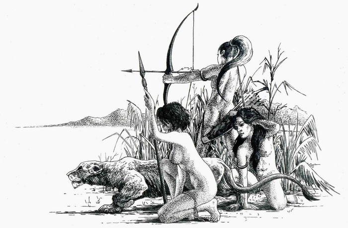 Серенгети. Коллаборация