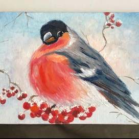 толстый снегирь