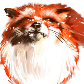 Снежный лис