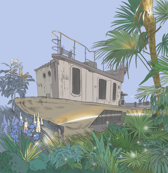 Новый рассвет 