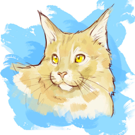 Кремовый мой кот