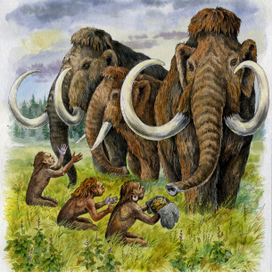 Земля Санникова