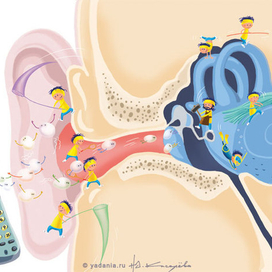 Как мы слышим