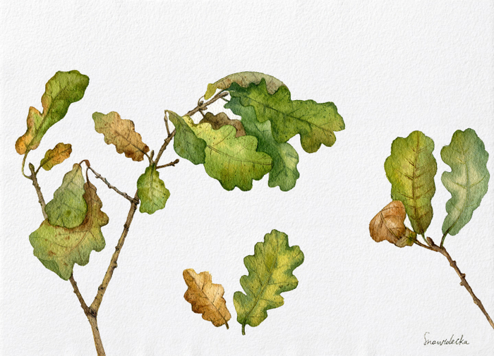 Осенние зарисовки