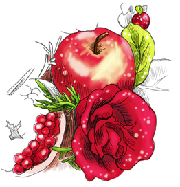 фрукты скетчинг