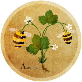 Азбука Голландского языка