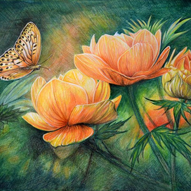 Вечерние цветы