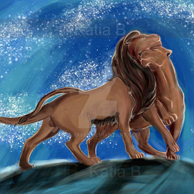 Lions among the stars