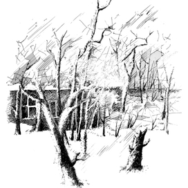 ЗИМА (вид из окна)