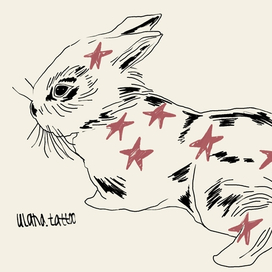 star rabbit