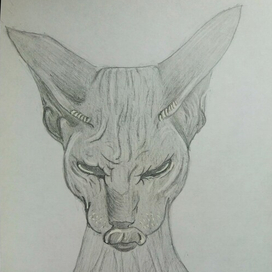 Доброе утро