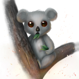 Пожары в Австралии