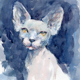 иллюстрация для книги