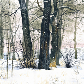 Кунеевский лес (Тольятти)