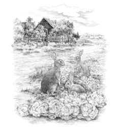 Пикник у обочины