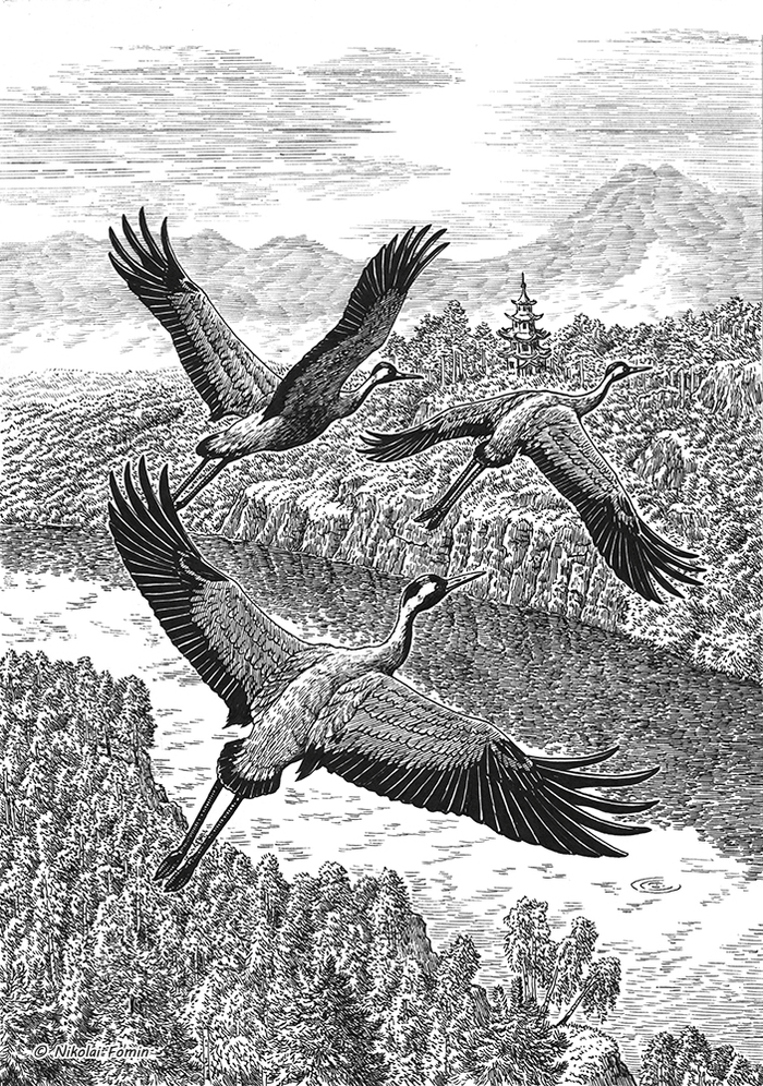 Over the border river.