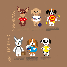 Фрагмент инфорграфики "Как выбрать щенка"