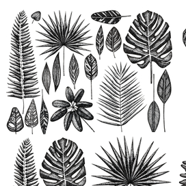 Набор с тропическими листьями