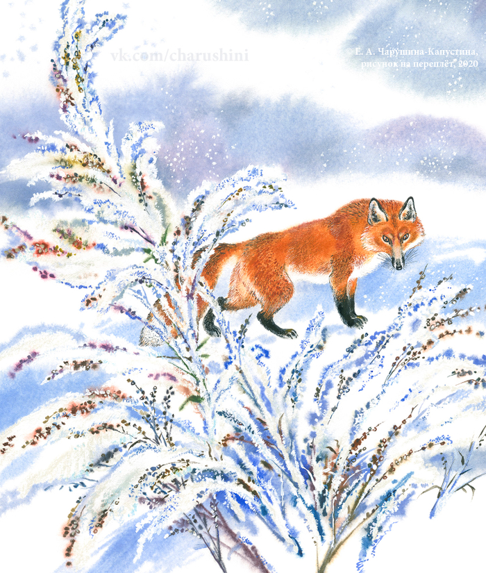 Рисунок на переплёт к книге В. Бована "Хрустальная полынь"