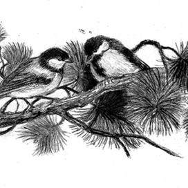 Зинька и Зинзивер