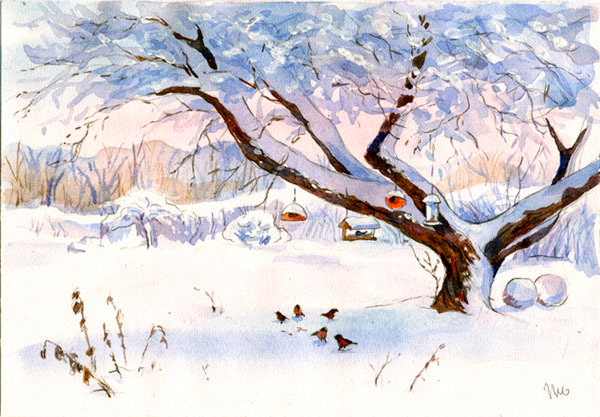 о птичках...