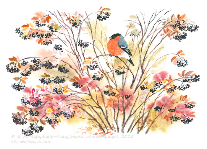 Иллюстрация к книге В. Бована "Лесное ожерелье"