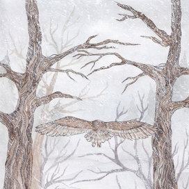 Улетающая Сова