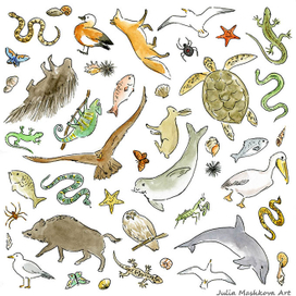 Рисунок на тему "Фауна Греции"