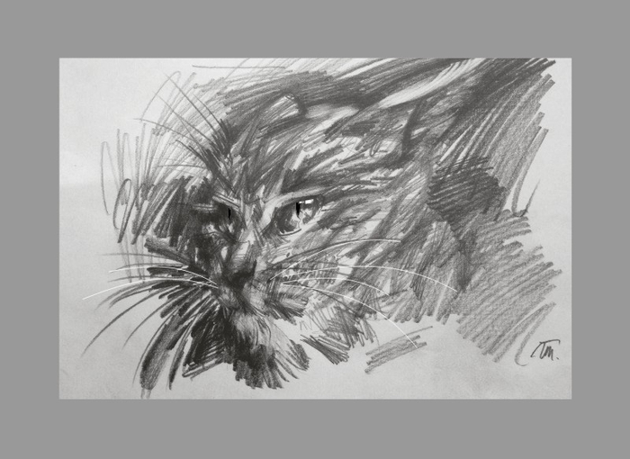 ути-пути Кисьный котик