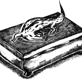 крокодил и шкатулка