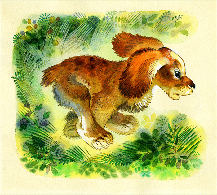 "Малыш" Е.Чарушин "Про Томку"