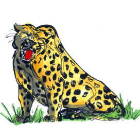 Индийская серия