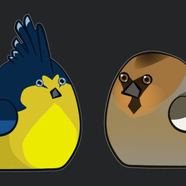 Птицы-стикеры