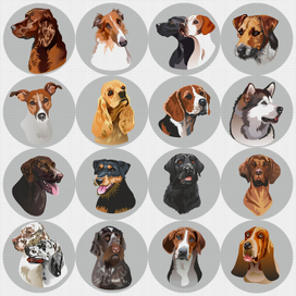 породы собак