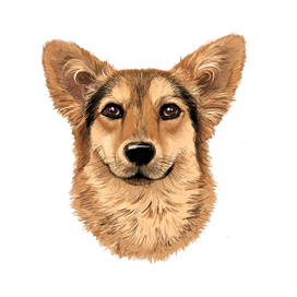 Портрет собаки