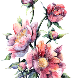 "Цветы для мамы", 2015
