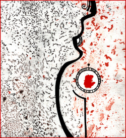 новая жизнь