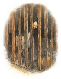 Гусь. Оборочная иллюстрация