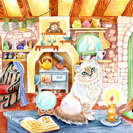 Волшебница и ее кошка. Книга Birmi. Издано в Швейцарии.