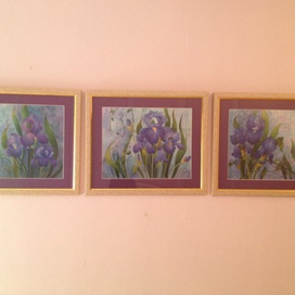 Ирисы