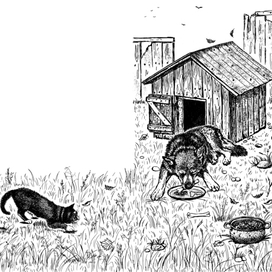 Разворот для книги "Долгая дорога домой" издательства Феникс-Премьер