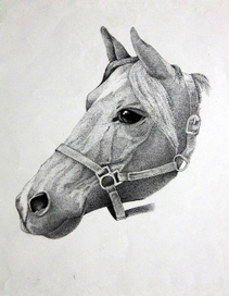 лошадь(копия)