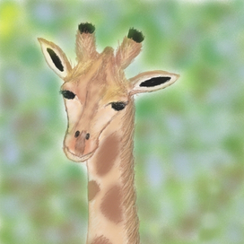 Малыш Жираф