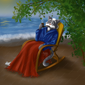 Старый кот на море