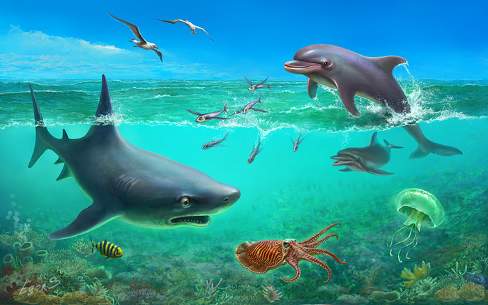 Мокрые животные