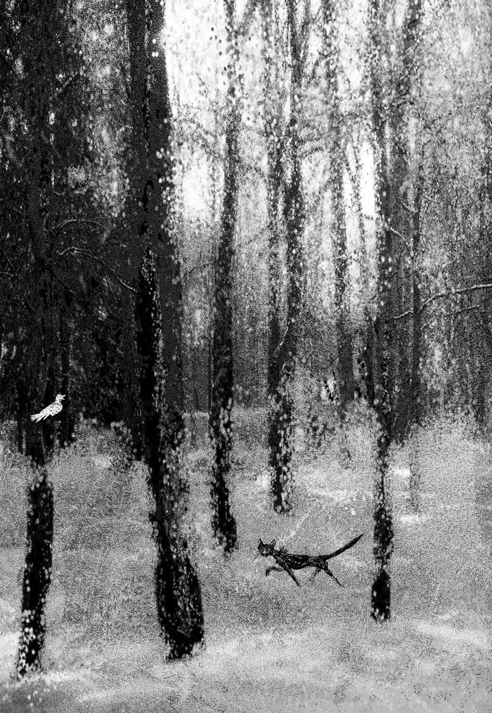 Чёрный кот, белая ворона